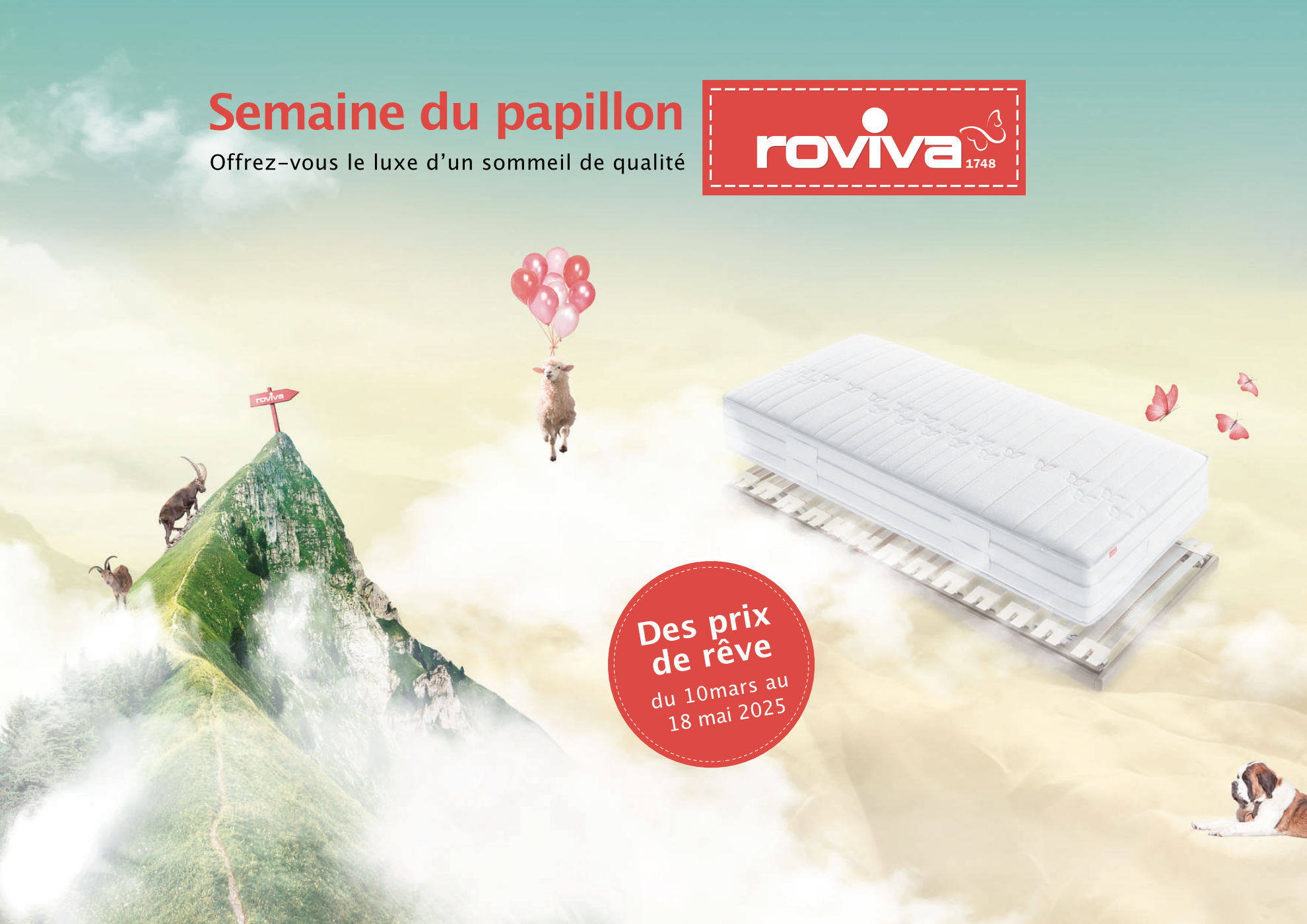 Semaines du Papillon ROVIVA Cosynights