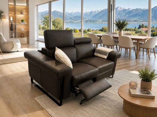 canape-edith-2-5-places-cuir-4252-2390-chf